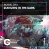 Standing in the Dark - Single album lyrics, reviews, download
