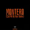 Montero (Call Me by Your Name) - Single album lyrics, reviews, download