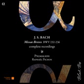 Bach: Missæ Breves, BWV 232-236 (Complete Recordings) artwork