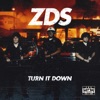 Turn It Down - Single