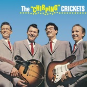 Buddy Holly & The Crickets - Not Fade Away