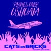 Planes over Ushuaia (feat. Zach Alwin)