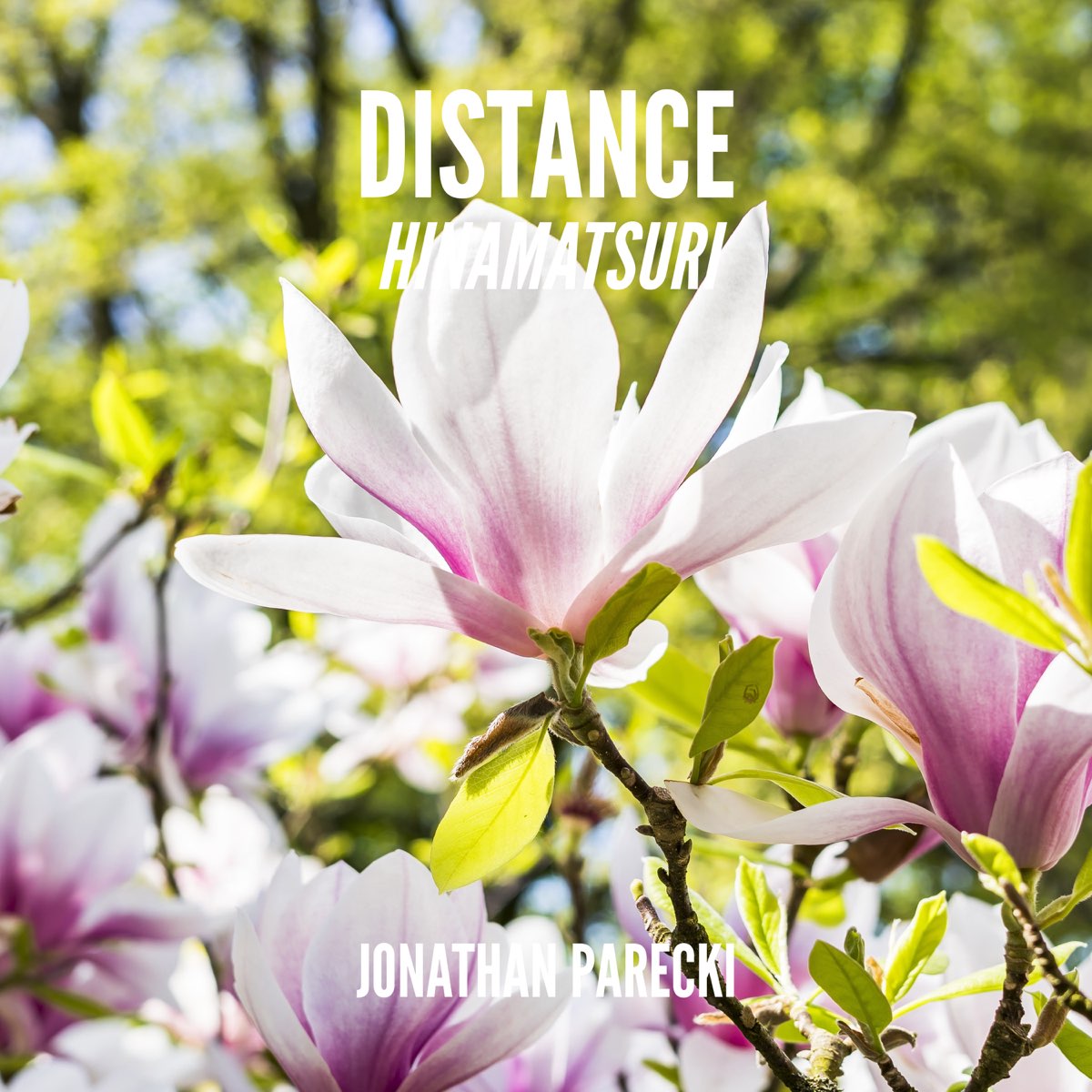 Distance (From 