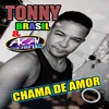 Chama de Amor - Single