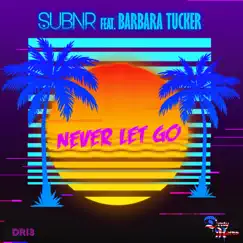 Never Let Go (feat. Barbara Tucker) - Single by SUBNR album reviews, ratings, credits