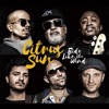 Citrus Sun - Calling Mr Wolf