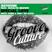 Special Love (feat. Jocelyn Brown) [Micky More & Andy Tee Club Radio] artwork