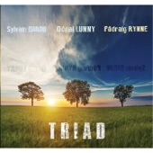 Pádraig Rynne - Ton Disanv / First Hard Rain