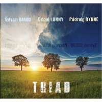 Triad by Pádraig Rynne, Donal Lunny & Sylvain Barou on Apple Music