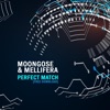 Perfect Match (feat. Moongose) - Single