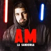 AM - Single