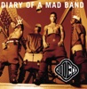 Diary of a Mad Band, 1993