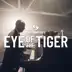 Eye of the Tiger - Single album cover