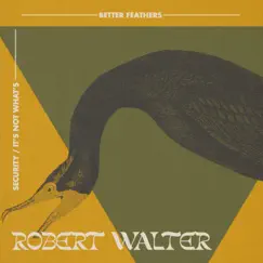 Security / It's Not What’s - Single by Robert Walter album reviews, ratings, credits