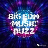 Big Edm Music Buzz artwork