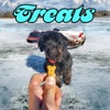 Treats - Single