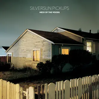 Bloody Mary (Nerve Endings) by Silversun Pickups song reviws