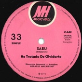 He Tratado de Olvidarte (feat. Horacio Malvicino) artwork