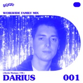 Soap Seoul Worldwide Family (DJ Mix) artwork