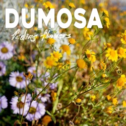 Dumosa - Crossroads of Choice