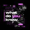 What Do You Know - Single