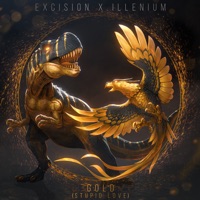 EXCISION AND ILLENIUM feat SHALLOWS - Gold (Stupid Love) Chords and Lyrics