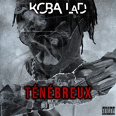 Ténébreux #1 artwork