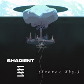 Secret Sky 2020 (DJ Mix) artwork