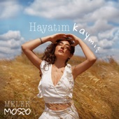 Hayatım Kaymış artwork