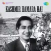 Dil-E-Nadan Tujhe Hua Kya Hai (From "Kashmir Hamara Hai") - Single album lyrics, reviews, download