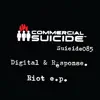 Riot - EP album lyrics, reviews, download
