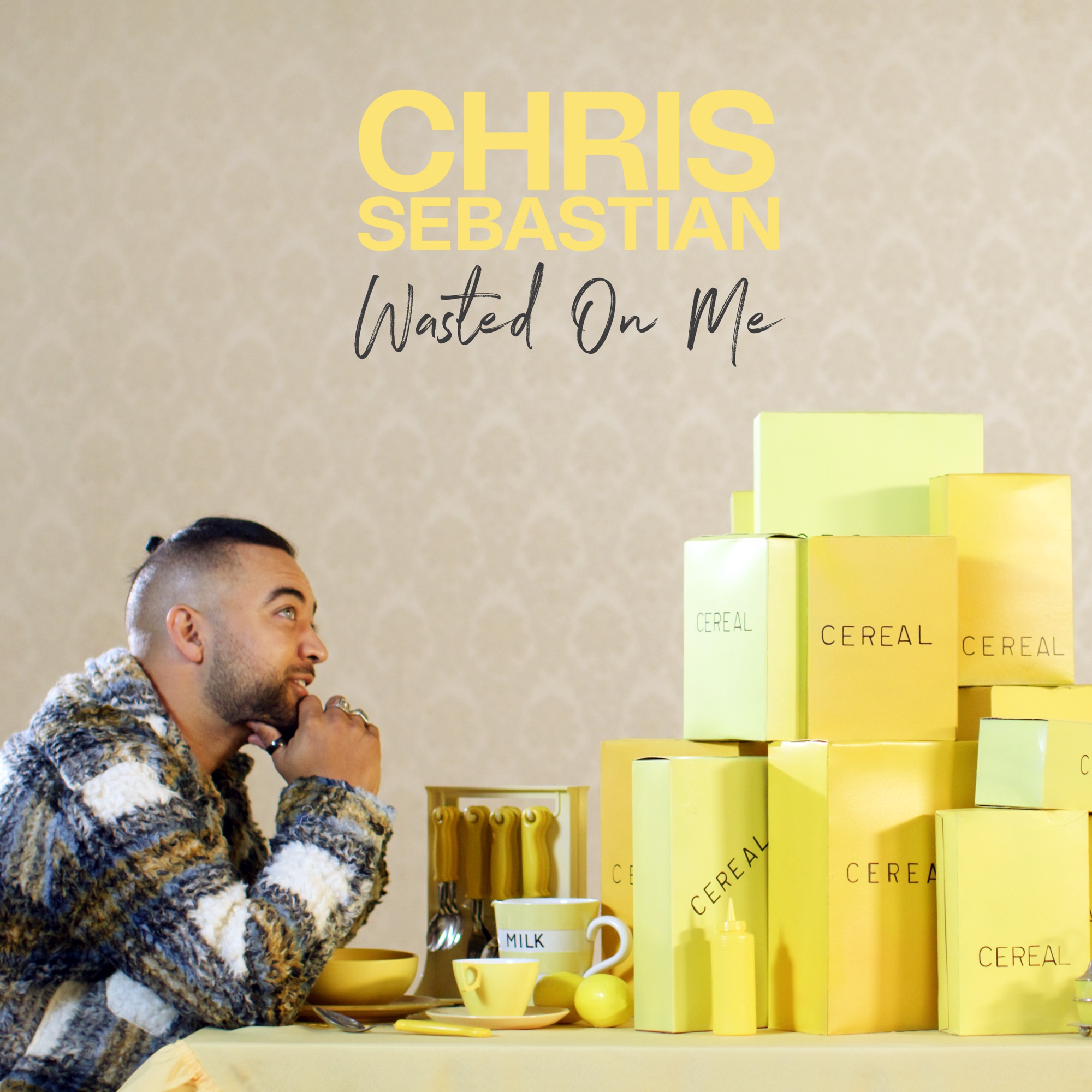 Chris Sebastian - Wasted On Me - Single
