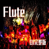 Flute (DJ完整版) artwork