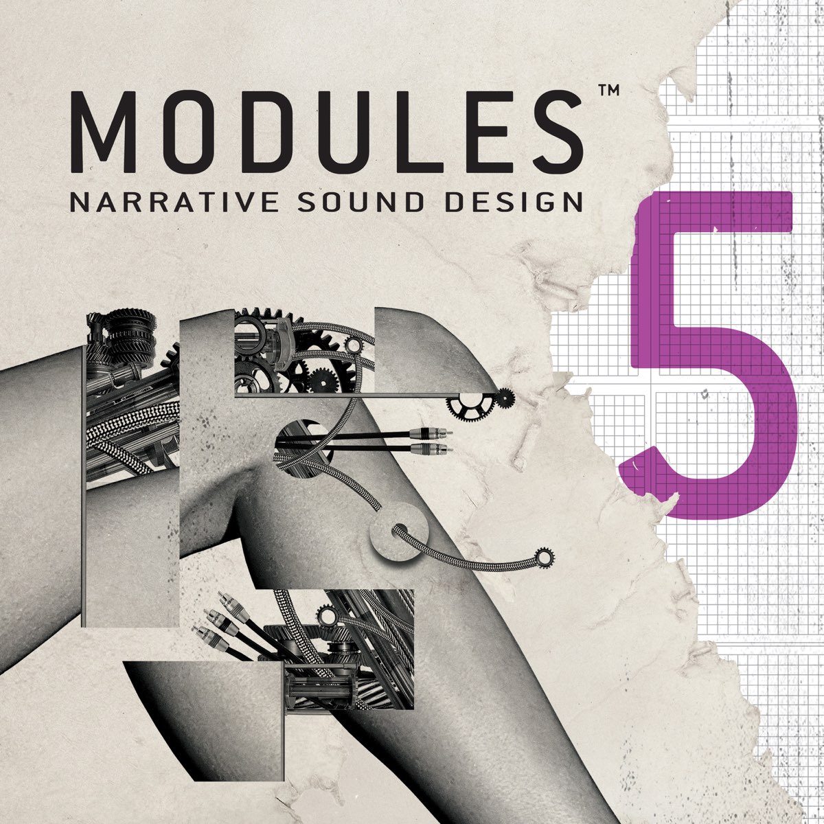 Modules 5 6