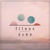 How Hard I Try (feat. James Hersey) - Filous