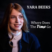 Where Does the Time Go artwork