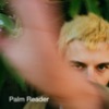 Palm Reader - Single