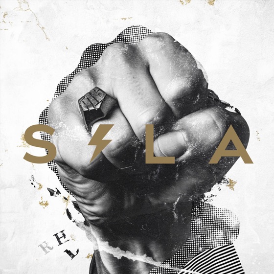 Cover artwork for MKZ