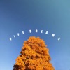 Pipe Dreams - Single