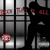 Been Thru It All (feat. Starr Chougie, Wallo267 & Da CampPain) artwork