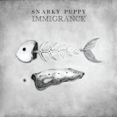 Xavi - Snarky Puppy