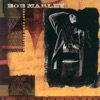 Chant Down Babylon (Remixes) [feat. Bob Marley], 1999