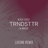 Black Coast - TRNDSTTR (Lucian Remix) 