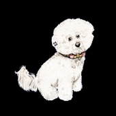 Bichon Frise artwork