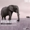 African Steppe (Kintar Remix) - Breeze & Quadrat lyrics