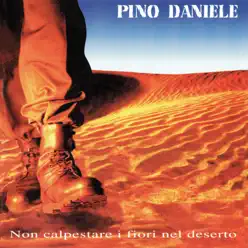 Non calpestare i fiori nel deserto (Remastered Version) - Pino Daniele