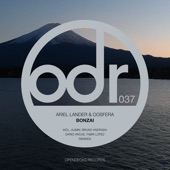 Bonzai (Bruno Andrada Remix) artwork