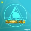 Jethro Tait - Running Wild