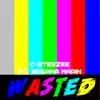 Wasted (feat. Breana Marin) - Single album lyrics, reviews, download