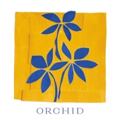 Orchid artwork
